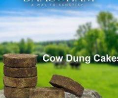 Holy Cow Dung Cake In Andhra Pradesh